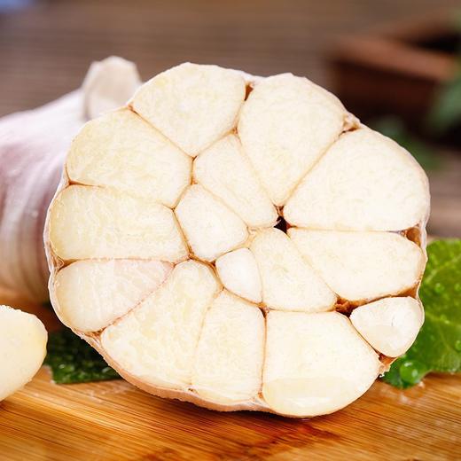 【蒜香十足，香脆好吃】山东金乡多瓣大蒜 1-9斤四六瓣蒜头 红皮蒜新鲜应蔬菜-QQ 商品图3