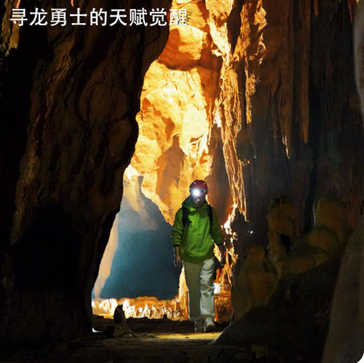 贵州一日游｜寻龙洞探洞历险，喀斯特溶洞|地心共舞| 部落遗迹|洞穴电影|地心攀爬|绳降|望桥观瀑|中式茶歇 商品图5