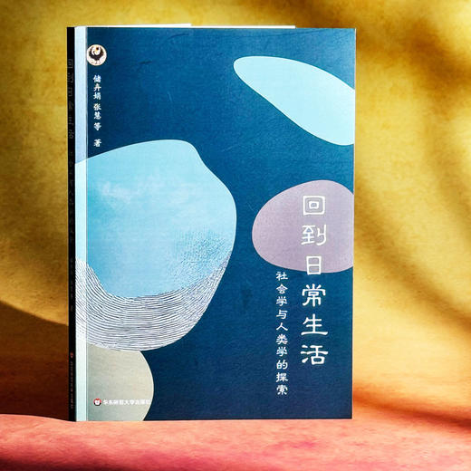 回到日常生活 社会学与人类学的探索 储卉娟 张慧 日常生活论坛 商品图1