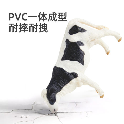 【丸丫专属】mideer弥鹿动物模型儿童实心仿真玩具早教套装 商品图3