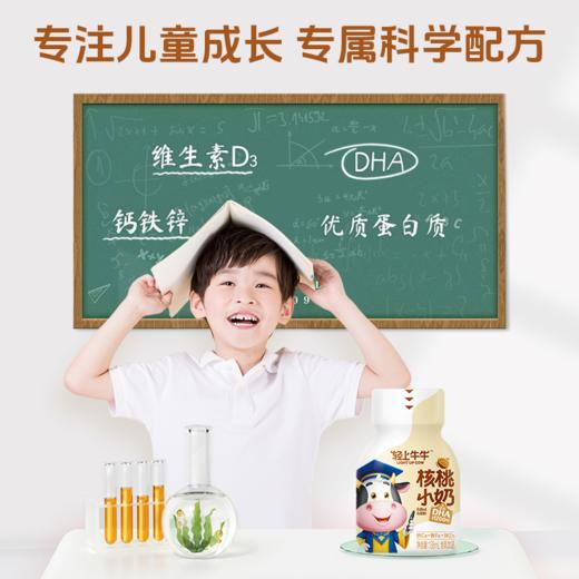 【新品】轻上核桃小奶含乳饮品含DHA和优质蛋白0反式脂肪酸 商品图5