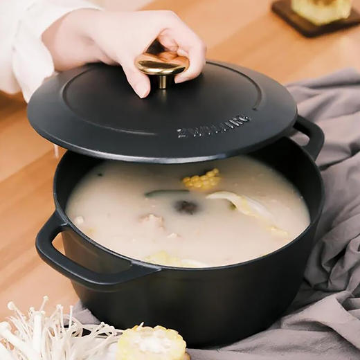 40202-021-A 双立人ZWILLING 【经典之选】厨房家用煲汤炖锅铸铁锅砂锅汤锅炖煮锅珐琅锅 商品图2