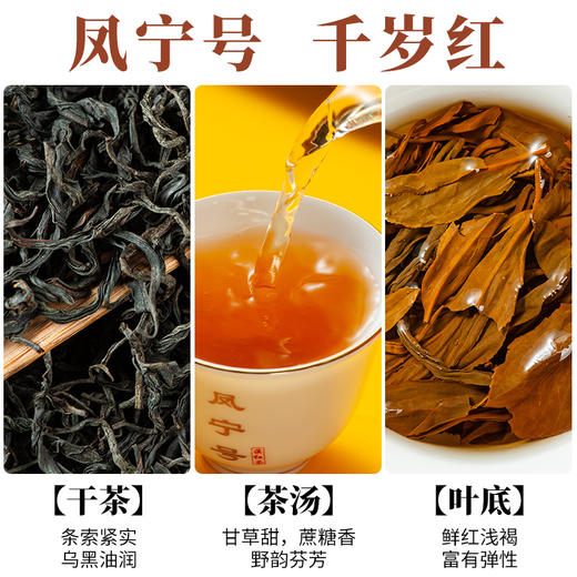 凤宁号【野韵天香】古树野生滇红茶250克 商品图1