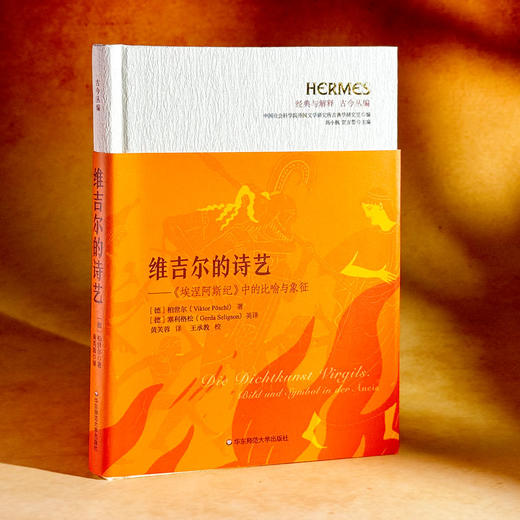 维吉尔的诗艺 《埃涅阿斯纪》中的比喻与象征 经典与解释 古今丛编 商品图3