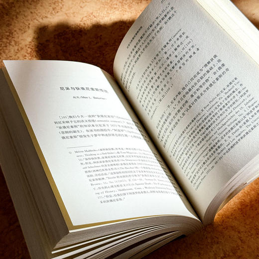 尼采与古典传统 西方传统经典与解释 尼采注疏集 哲学研究 商品图11