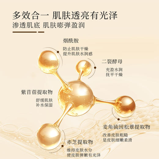 【若初】胡庆余堂灵芝抚纹焕颜精华液紧致抗皱舒缓补水保湿精华露 商品图2