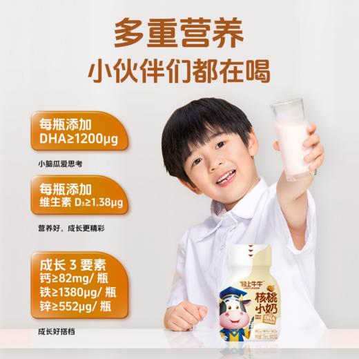 【新品】轻上核桃小奶含乳饮品含DHA和优质蛋白0反式脂肪酸 商品图3