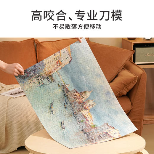 TOi图益-潮玩拼图系列-威尼斯大运河-1000片-分包款 商品图1