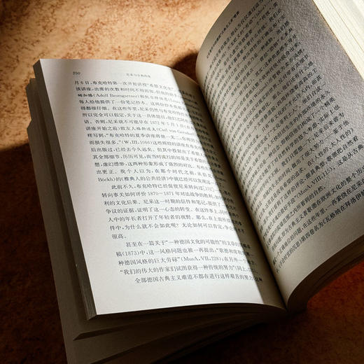 尼采与古典传统 西方传统经典与解释 尼采注疏集 哲学研究 商品图10