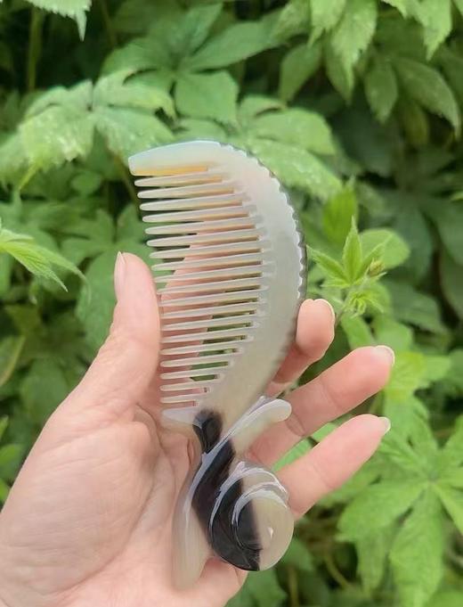 蜗牛梳 商品图0