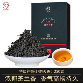 凤宁号【野韵天香】古树野生滇红茶250克
