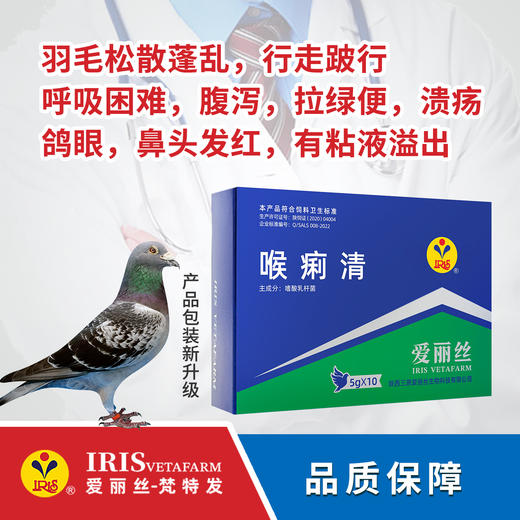 【爱丽丝】喉痢清(粉剂)50克/胶囊60粒 商品图0