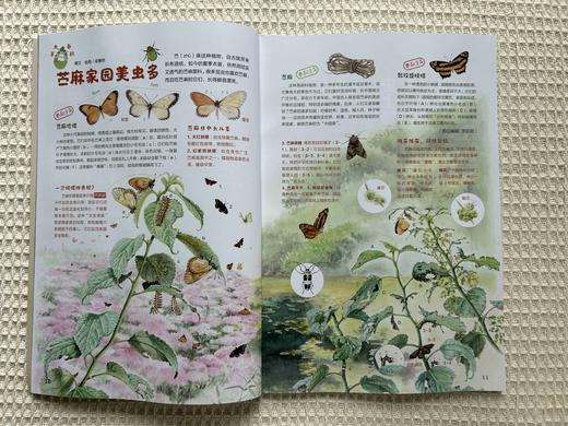 【超划算】博物 2025年7-9月共3期   一次性发货 商品图3