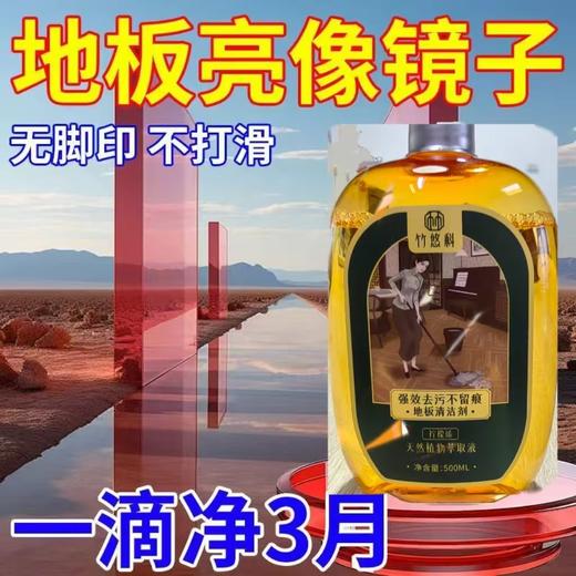 地板清洁剂500ml 商品图1