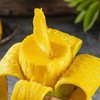 金煌芒 芒果 约1kg/份 商品缩略图4