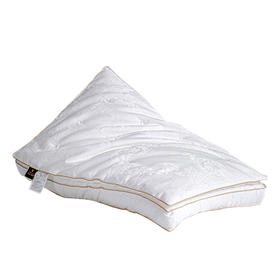 贡缎蚕丝双层枕芯单只装  A-4796