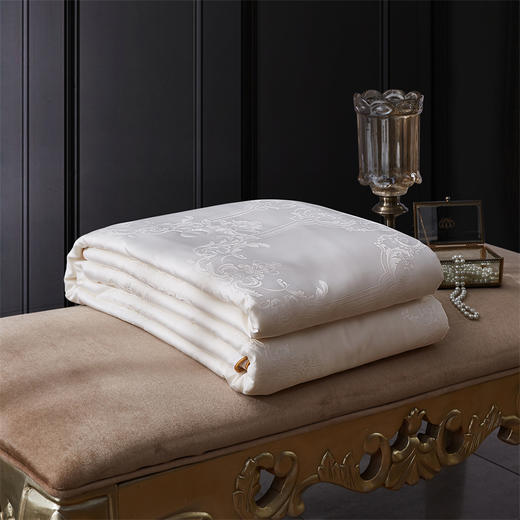 提花蚕丝春秋被—洛菲白（YI）W924132411039 商品图2