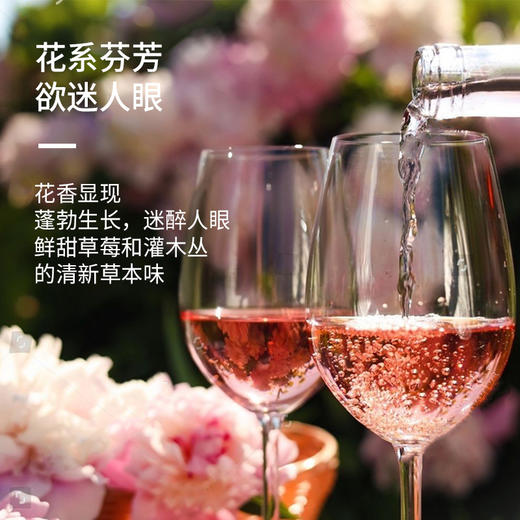 恋爱季莫斯卡托甜桃红起泡酒750ml 商品图7