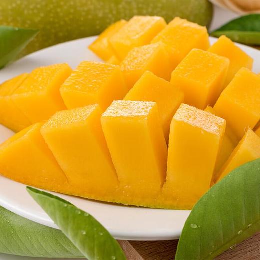 金煌芒 芒果 约1kg/份 商品图0