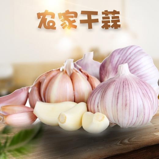 【蒜香十足，香脆好吃】山东金乡多瓣大蒜 1-9斤四六瓣蒜头 红皮蒜新鲜应蔬菜-QQ 商品图0