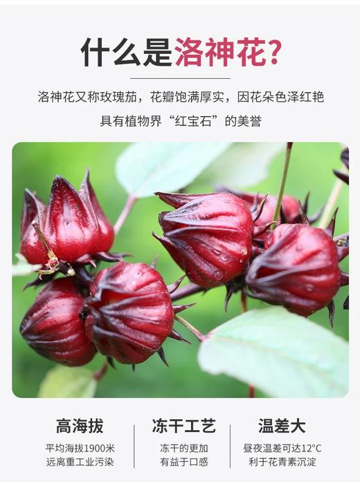 洛神花茶 商品图5