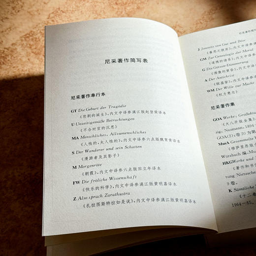 尼采与古典传统 西方传统经典与解释 尼采注疏集 哲学研究 商品图7