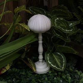 komorebi丨海胆灯