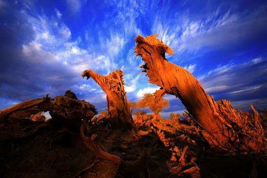 哈密大海道无人区（沙漠雅丹+星空）、伊吾古老胡杨林金秋8天摄影团 商品图4