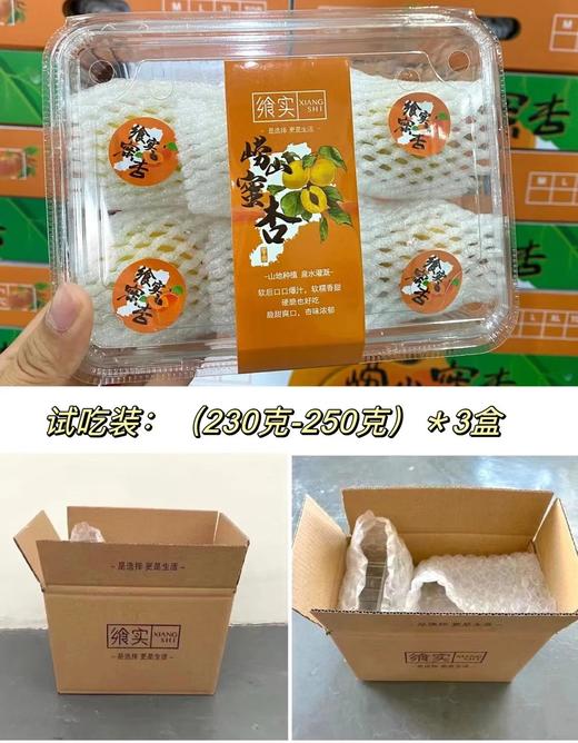 【顺丰/京东包邮】2025新品尝鲜59.9崂山香蜜杏小白杏糖度可达20自带花香果香一杏两吃杏仁也可以食用顺丰京东基地直邮 商品图4