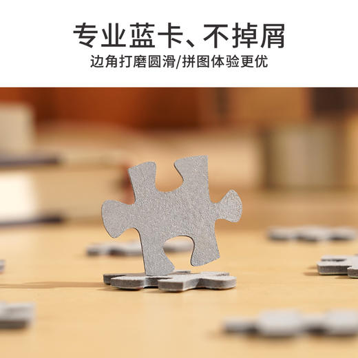 TOi图益-潮玩拼图系列-威尼斯大运河-1000片-分包款 商品图4
