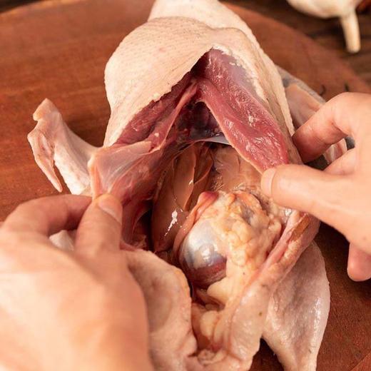 【康在此】地理标志产品 | 洪湖绿头老野鸭 无膻味 久炖肉不散 紧实有嚼劲 四季温补 严格检疫可追溯 商品图3