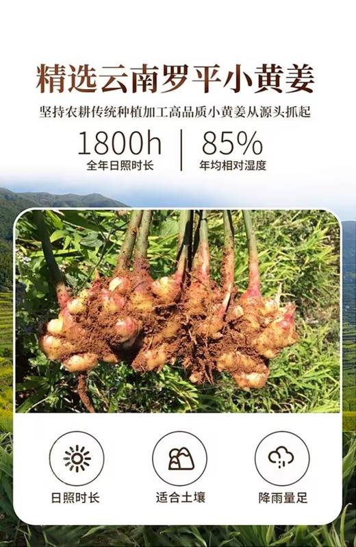 百年老字号福林堂罗平小黄姜粉 商品图7