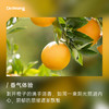 甜橙 植物香薰精油（撕拉款） 商品缩略图1