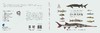 长江鱼类图鉴/危起伟等 商品缩略图3
