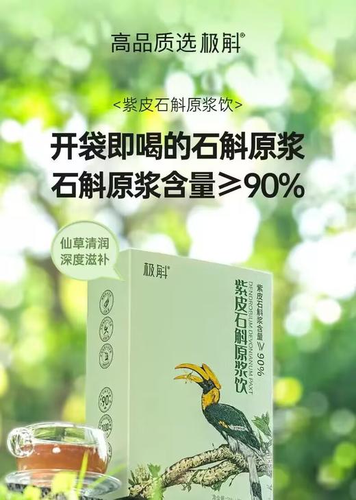 云南铁皮石斛直饮原浆 商品图0