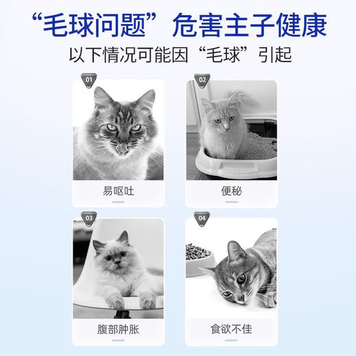 MAG化毛球片猫草片猫咪专用300片去毛球吐毛球助肠胃消化鱼油 商品图1
