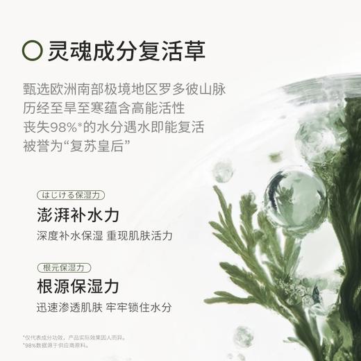 BbLAB苾莱宝复活草涂抹式保湿修护提亮退黄 商品图3