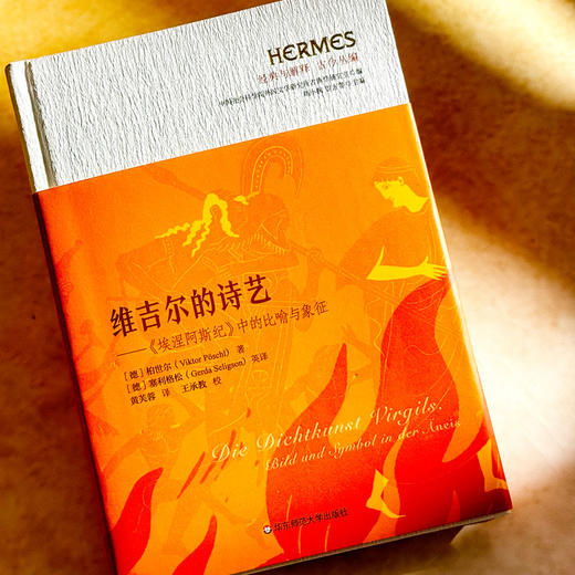 维吉尔的诗艺 《埃涅阿斯纪》中的比喻与象征 经典与解释 古今丛编 商品图4