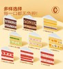 假日小狗·0卡糖动物奶油蛋糕 | FALANC CAKE 商品缩略图3