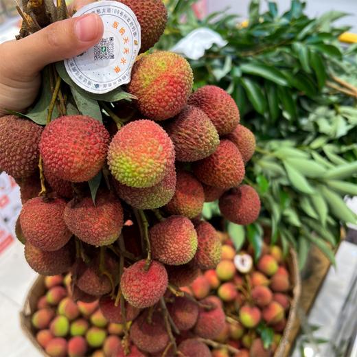 本地妃子笑荔枝 商品图1