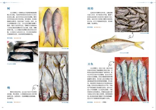 《餐桌上的水产图鉴》菜市场美食 生态图鉴 海鱼海鲜河鲜 周卓诚张继灵张辰亮推荐  海峡书局【官方正版 48小时发货】 商品图2