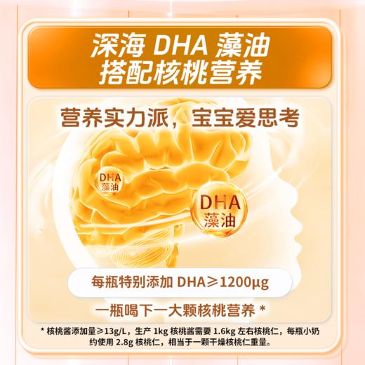【新品】轻上核桃小奶含乳饮品含DHA和优质蛋白0反式脂肪酸 商品图6