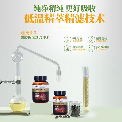 【增强免疫力】汪氏紫悦蜂胶软胶囊保健食品30g*3瓶 商品图4