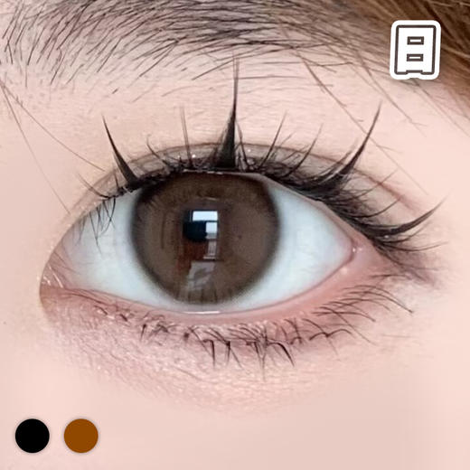 #Halo光环 黑/棕【10片装】国产精品 / 14.0mm日抛 商品图1