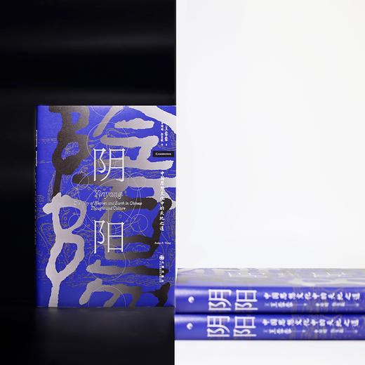  阴阳：中国思想文化中的天地之道 商品图2