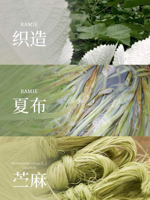 优雅棉苎麻呼吸轻盈睫毛蕾丝直筒连衣裙 商品图12