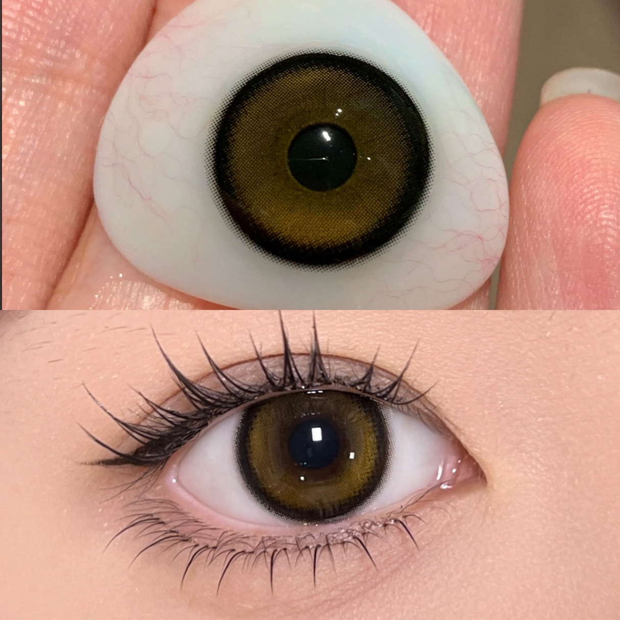 【新升级日抛线】小金条 日抛 KiraFairy