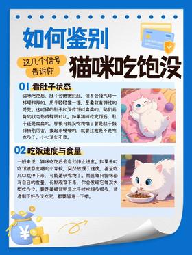 养猫人必学！6个信号判断猫咪是否吃饱✨