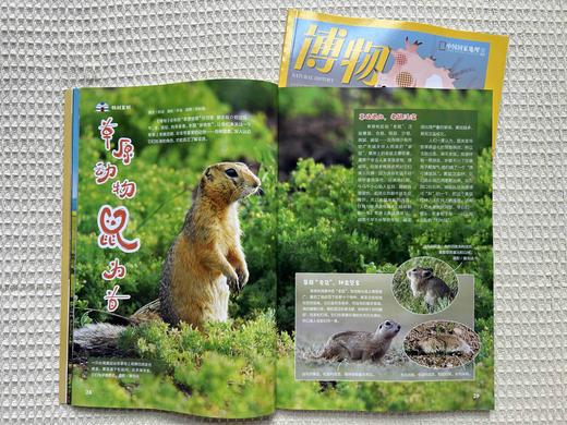 【超划算】博物 2025年7-9月共3期   一次性发货 商品图1