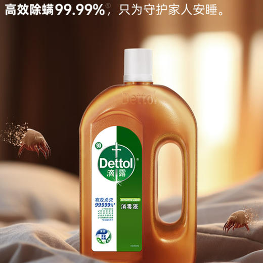 滴露（Dettol）消毒液消毒水衣物除菌液地板松木1.2L YC 商品图0